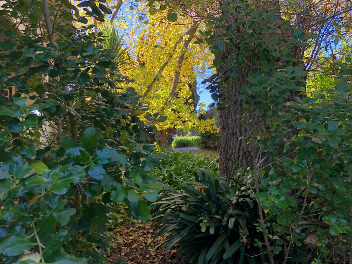Lorelei Bed & Breakfast Portland Buitenkant foto